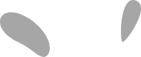 Blog tutor-bg